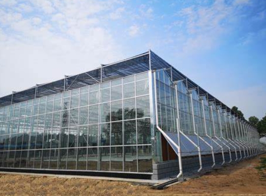 温室大棚若要使用玻璃建议选它